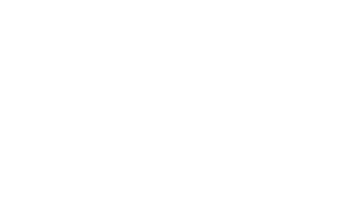 Logo-2
